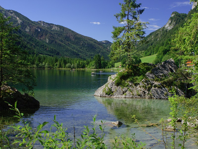 Hintersee mit Zauberwald